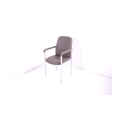 Echoius Visitor & Guest Chairs Heavy-Duty Sled Base & Padded Seat, Offix Furniture