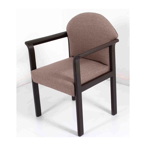 Echoino Visitor & Guest Chairs Heavy-Duty Sled Base & Padded Seat, Offix Furniture