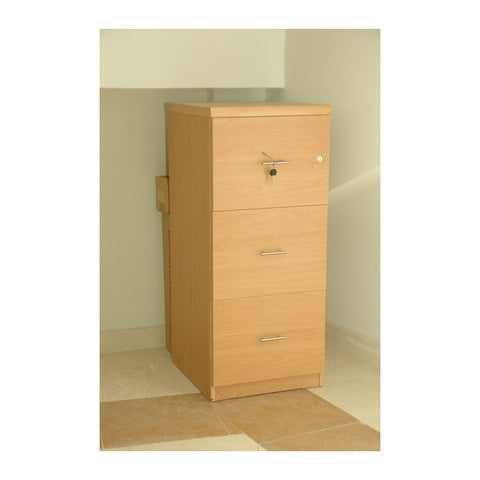 Daliia Executive Credenzas & Cabinets Locking Hinged Doors & Filing Drawers, Offix Furniture