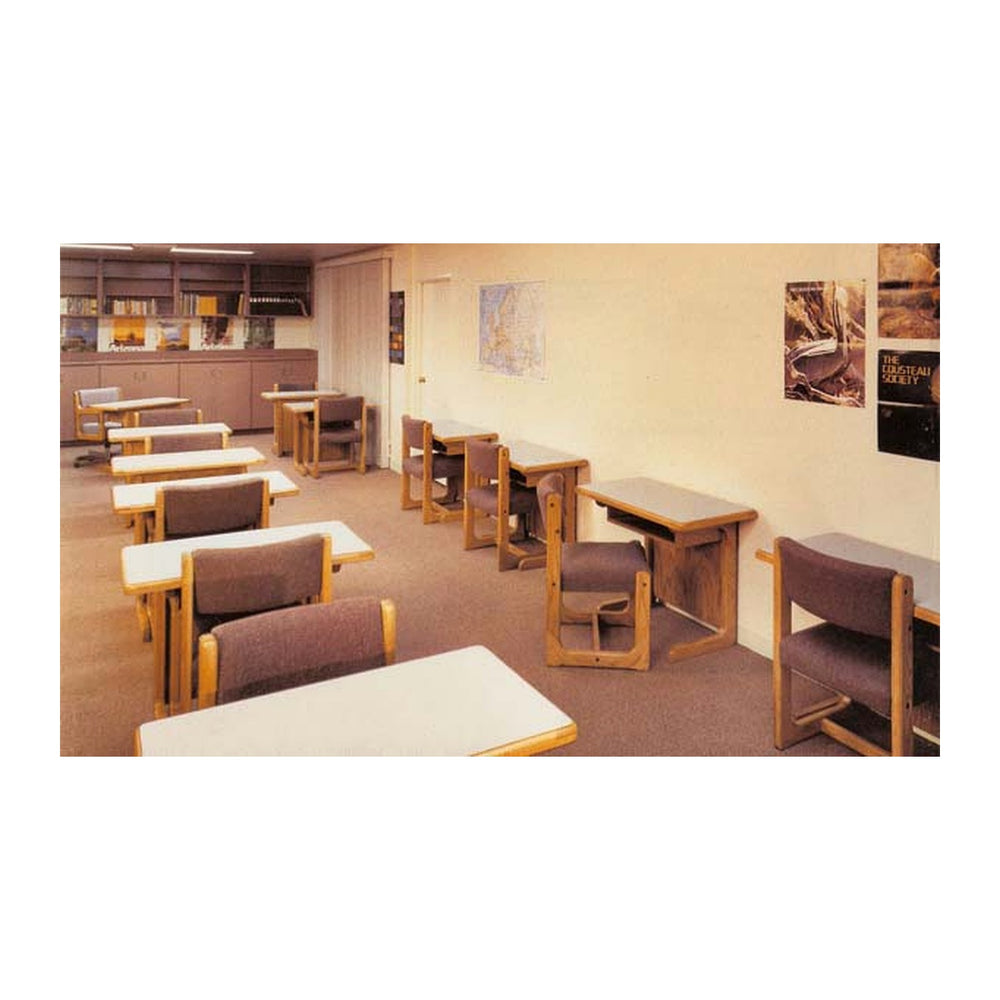 Classroom Desks & Dual Benches Sultan (009) – Integrated 2-Student Bench & Metal Frame