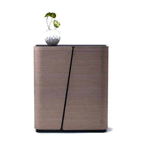 Shoe Executive Credenzas & Cabinets Locking Hinged Doors & Filing Drawers, Offix Furniture